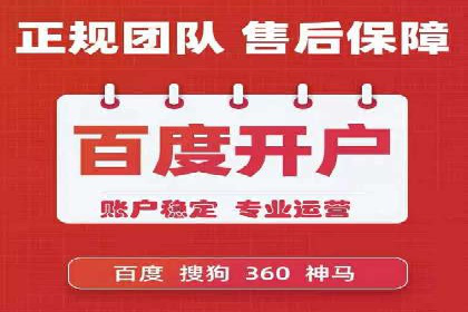 百度竞价推广案例：行业领军者成长故事